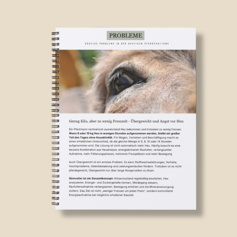 Zeitgesteuerte Pferdefütterung verstehen und planen - Das Workbook – Bild 5